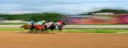 Abstract-Saratoga-horse-race