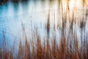 Abstract-Sunlight-on-the-old-canal