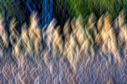 abstract-cattails-fire