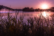 Morning-at-Pecks-Lake-ADK