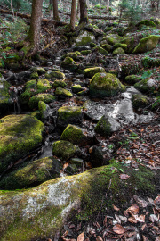 Tenant-Falls-trail
