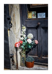 Passau-Germany-flower-pot-at-door