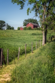 Argyle-spring-farm