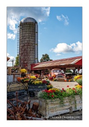At-a-farm-in-Easton-NY