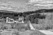 Masonville New York Farm