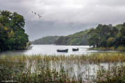Muckross-Lake-Ireland