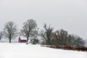 Saratoga-battlefield-house-in-winter-2024-large