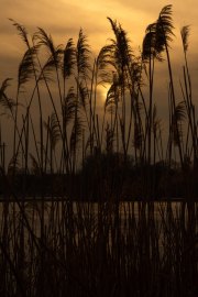 Sunset-Collins-Park