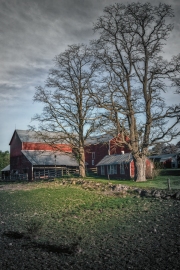 morning-light-on-the-farm