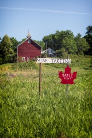 winery-outside-of-Poultney-VT