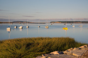 Sailboats-in-the-Wellfleet-harbor