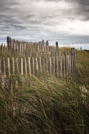 beach-fence-Cape-Cod