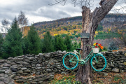 Bike-on-Tree-Indian-Ladder