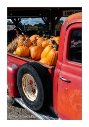Old-truck-with-pumpkins