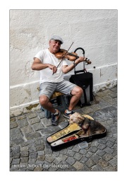 Passau-Germany-violinist