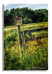 Posted-sign-along-the-road-in-Round-Lake-NY