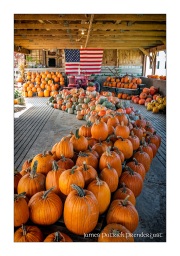 Row-of-pumpkins-with-flag