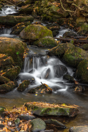 Neversink Area Waterfall
